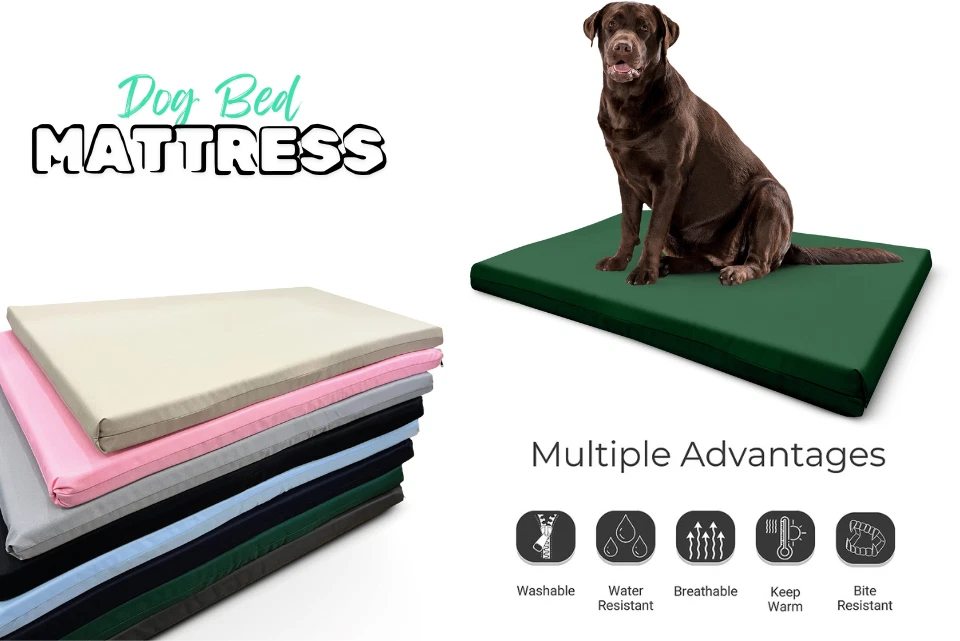 Dog Bed Cushion Orthopedic Pet Bed and Mattress Indoor Outdoor with Zipper Cover - Image 1 of 4