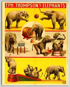 Trucos de circo de elefantes de circo elefantes de Thompson - Imagen 1 de 2