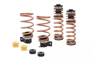 Megan Racing Pro-S Series Adjust Lowering Springs Fits BMW F87 M2 F80 M3 F82 M4 - Picture 1 of 6