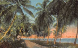 Jamaica - Cococahuete en el camino a Morant BayA. Duperly & Son - Publ. 40609 - Imagen 1 de 2