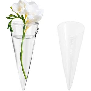Cone Shape Glass Plant Pot Transparent Flowerpot Home Office Decor - Picture 1 of 14