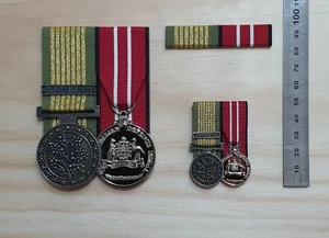 NATIONAL EMERGENCY MEDAL (BUSHFIRES 19-20) AUSTRALIAN DEFENCE MEDAL SET- NEM ADM - Picture 1 of 7