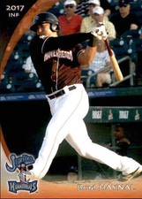 2017 Jupiter Hammerheads Grandstand #17 Brad Haynal Leucadia California CA Card