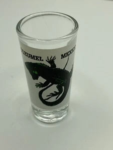 Cozumel Mexico Shot Glass - Picture 1 of 3