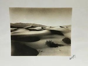 Original 1920's Stephen H Willard Palm Springs Desert Dunes Photo Art Print - Picture 1 of 5