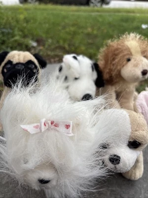 Webkinz Dog Lot No Codes Dalmatian Yorkie Pug Chihuahua Spaniel - Image 1 of 4