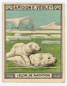PUB, ancien chromo amidon VERLEY ours blanc Marquette Lille leçon de natation - Picture 1 of 2