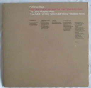 PET SHOP BOYS - PROMO 12" X 2 "I DON'T KNOW WHAT YOU WANT BUT I CAN'T GIVE IT.." - Imagen 1 de 5
