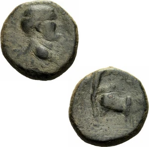 Vespasian Berytos Phönikien Bronze Koloniegründung Pflug Ochse Lituus RPC 2044 - Picture 1 of 1