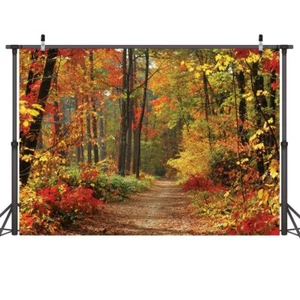 Autumn Scenery Deciduous Background 7x5ft Vinyl Deciduous Mountain Road Photo... - Picture 1 of 8