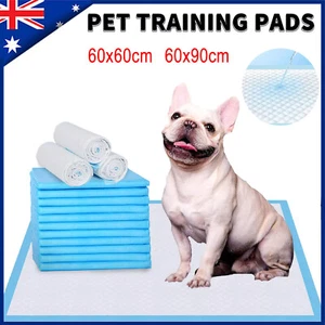 60x90cm 60x60cm XL/L Puppy Dog Training Pads Pet Toilet Pee Pads Mat Absorbent - Picture 1 of 22
