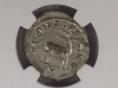 NGC AU Phlip I 5/5,3/5 AR Antoninianus. 244-249AD. Saecular Games Stag. - Image 1 of 4