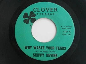 Mega Rare Private Label Philly Soul Skippy Devine 45 Record Why Waste Your Tears - Picture 1 of 4