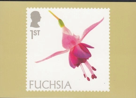 Tarjeta PHQ de GRAN BRETAÑA Flores Fucsia Royal Mail Foto 1 de 1