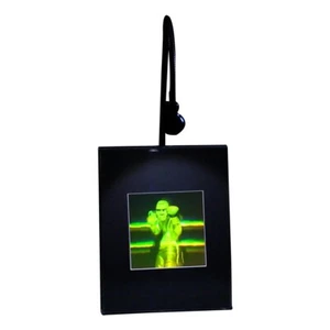 3D Boxer Mehrkanal Hologramm Bild BELEUCHTET SCHREIBTISCH STÄNDER Photopolymer Typ - Bild 1 von 7