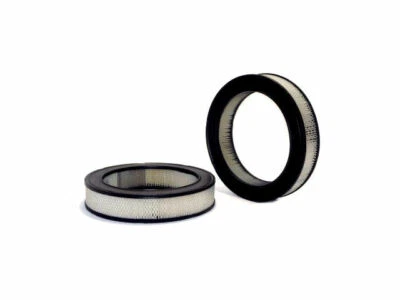 Filtro de aire para Dodge Dakota 1988-1990 WIX 22795RC 1989 filtro de aire Foto 1 de 2