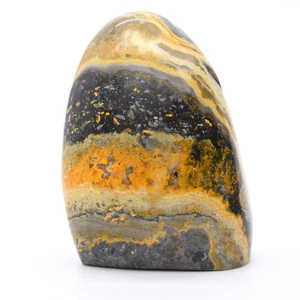 Bumblebee Jasper Freeform - Bild 1 von 5