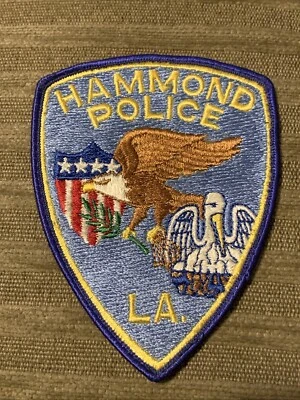 Hallazgo patrimonial: parche de policía de Hammond Louisiana Pelican Eagle Foto 1 de 4