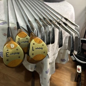 MacGregor Jack Nicklaus Golden Bear RH Golf Set + Bag all seial numbers match. - Picture 1 of 12