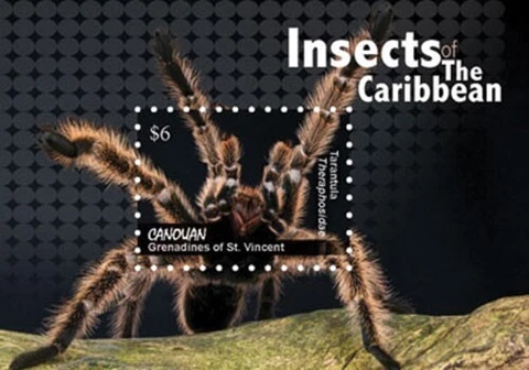 Canouan 2011 - Tarantula - Souvenir Stamp Sheet - MNH Cover