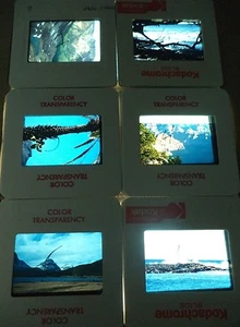 6 Original Vintage 35mm Kodak Photo Color Slide Nature Kodachrome Transparency - Picture 1 of 10
