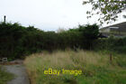 Photo 6x4 Doomed Hedge The hedge is Leylandii planted far too close toget c2021