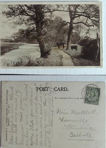 Postal - Abbey Meadows, Redditch, Worcs 1913 - Enviada gratis - Imagen 1 de 1