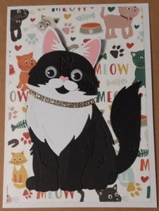 cat funny birthday black cat birthday card - Picture 1 of 1