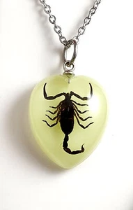 Black Scorpion Heart Pendant GITD goth occult punk alt taxidermy pagan - Picture 1 of 4