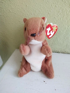 RETIRED 1996 Ty Beanie Baby NUTS the Squirrel -With multiple tag errors!  - Picture 1 of 9