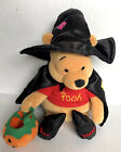 Disney Collectible 2000 Winnie the Pooh Stuffed Plush Witch Pooh 8" Bean Bag