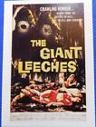 #27 The Giant Leeches Vintage 1997 Horror / Sci-fi movie poster card