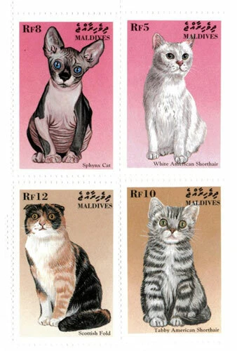 Maldives 1998 - Cat Breeds - Set of 4v - Scott 2305-08 - MNH - Image 1 of 1