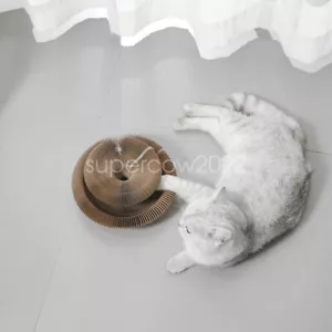 Cat Accordion Kitty Kurlz Cat Toy Ball Scratch Pad Magic Organ Cat Scrat Cat Toy - Picture 1 of 10