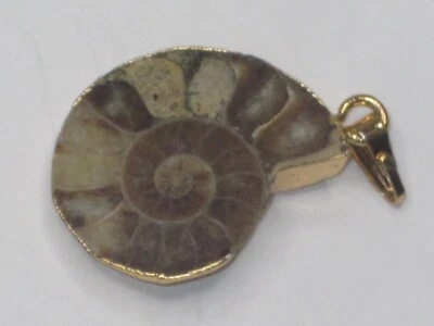 único colgante natural recortado concha cónica espiral vintage Foto 1 de 4