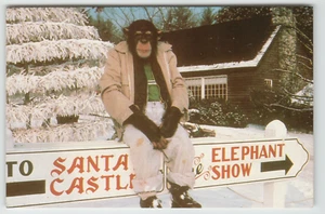 Postcard Chimpanzee at Entrance to Benson's Animal Park in Hudson, NH. - Picture 1 of 2