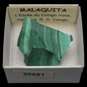 MALAQUITA (L'Etolie du Congo mine, Katanga, R.D. Congo) #30591 / Malachite - Picture 1 of 1