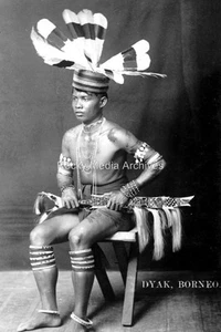 Bul-95 Dyak Tattoo Ethnic Nude, North Borneo. Photo - Picture 1 of 1