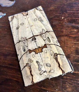 SPALTED HACKBERRY WILD! GRAIN Bookmatched Messer Schuppen Griff Griffe trocken K693 - Bild 1 von 4