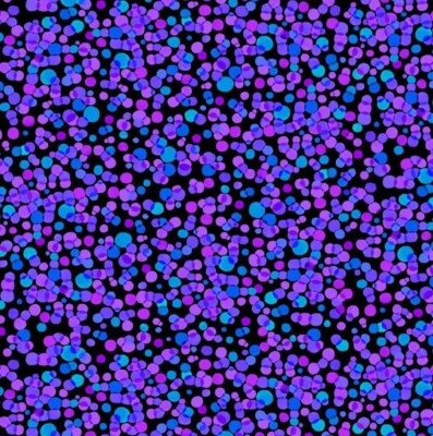 Timeless Treasures Midnight Bloom Purple and Blue Dots Cotton Fabric by the Yard - Image 1 of 4