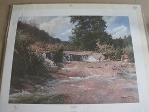 Bob Wygant "Double Beauty" Limited Edition Print 123/1000 with COA 22 x 28" - Bild 1 von 6