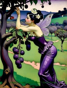 Sugar Plum Fairy Checking Plum Tree 8.5x11" Photo Print Style Gauguin/Harker Art - Picture 1 of 1