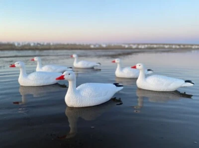 6 Pack New Snow goose Floater Decoys - Image 1 of 2