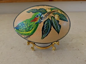 Vintage Hand Painted Emu Egg, Depicting Parrot by Betty Schilo on Display Stand - Picture 1 of 7