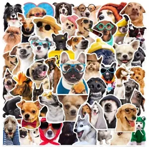 50 Aufkleber niedlich lustig Hunde Laptop Gepäck Telefon Auto Kühlschrank Skateboard Vinyl NEU - Bild 1 von 9