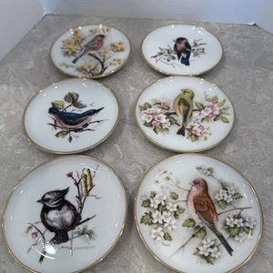 AK Kaiser porcelain bird small plate 4" W Germany - Picture 1 of 8