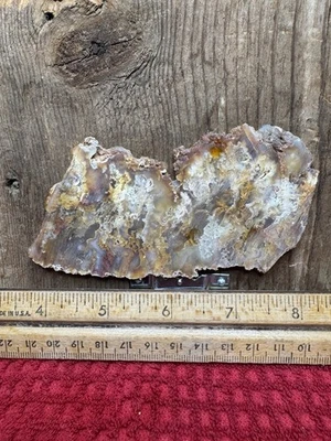 Graveyard Point Plume Agate Slab 67 Grams 4”x 2”x 6mm. Oregon Plume Agate. - Image 1 of 4