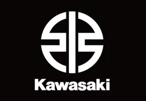 Kawasaki OEM New Front Brake Pads 1997-1998 KX125 KX250 43082-1193* - Picture 1 of 4