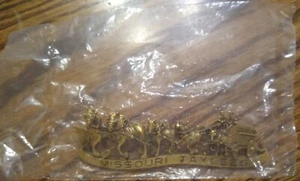 **Brand New** Missouri Jaycee Pin - Picture 1 of 2