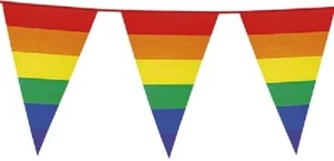 8m Rainbow Bunting Gay Pride Multi-Coloured Celebration 8m 14 Large flags NHS - Picture 1 of 1